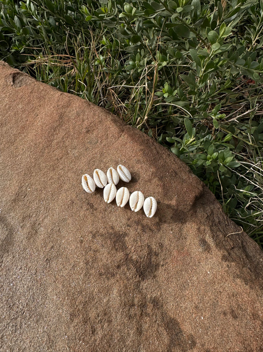 Cowrie Shell Hair Clip