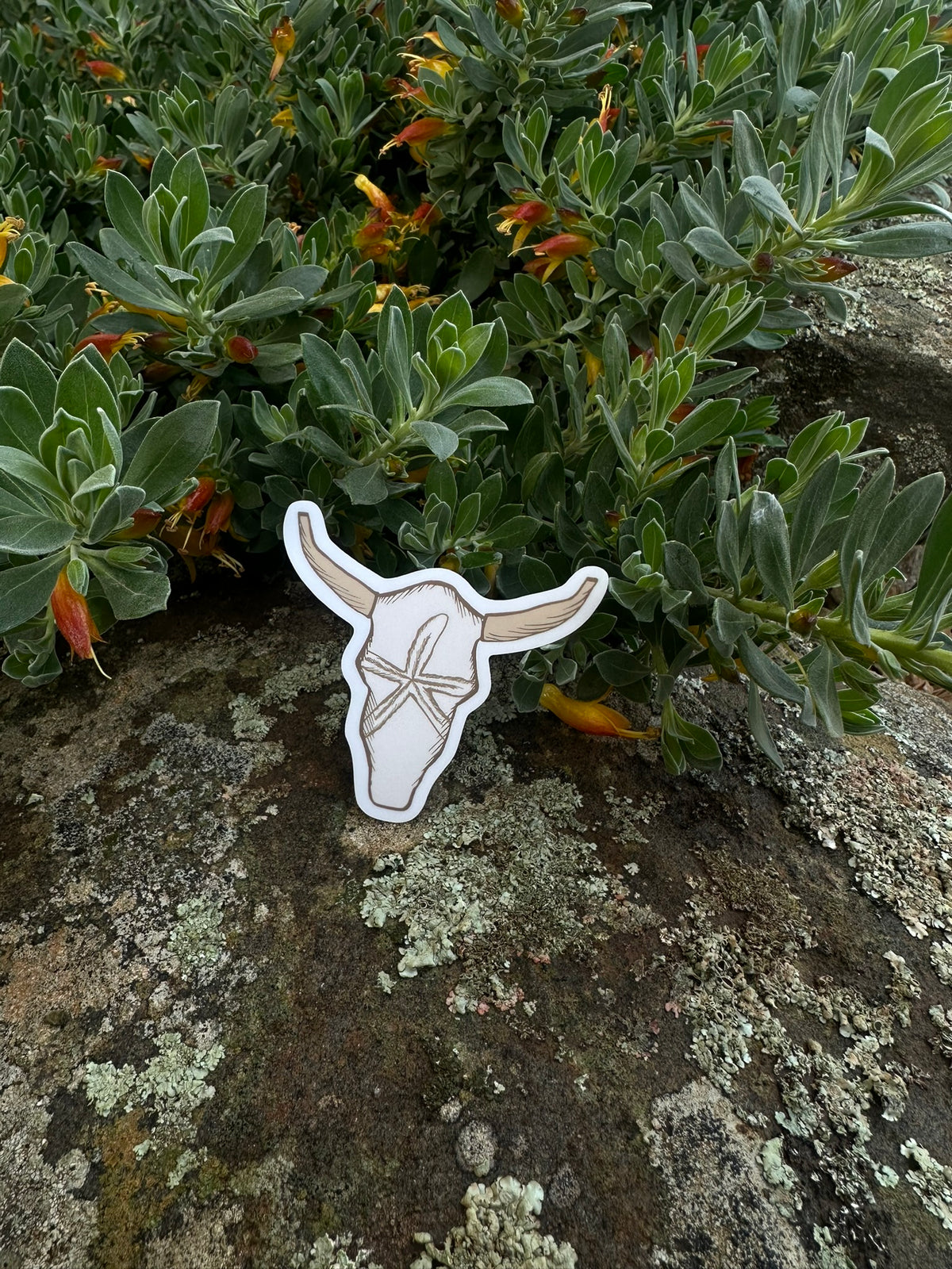 Texas Longhorn | Sticker