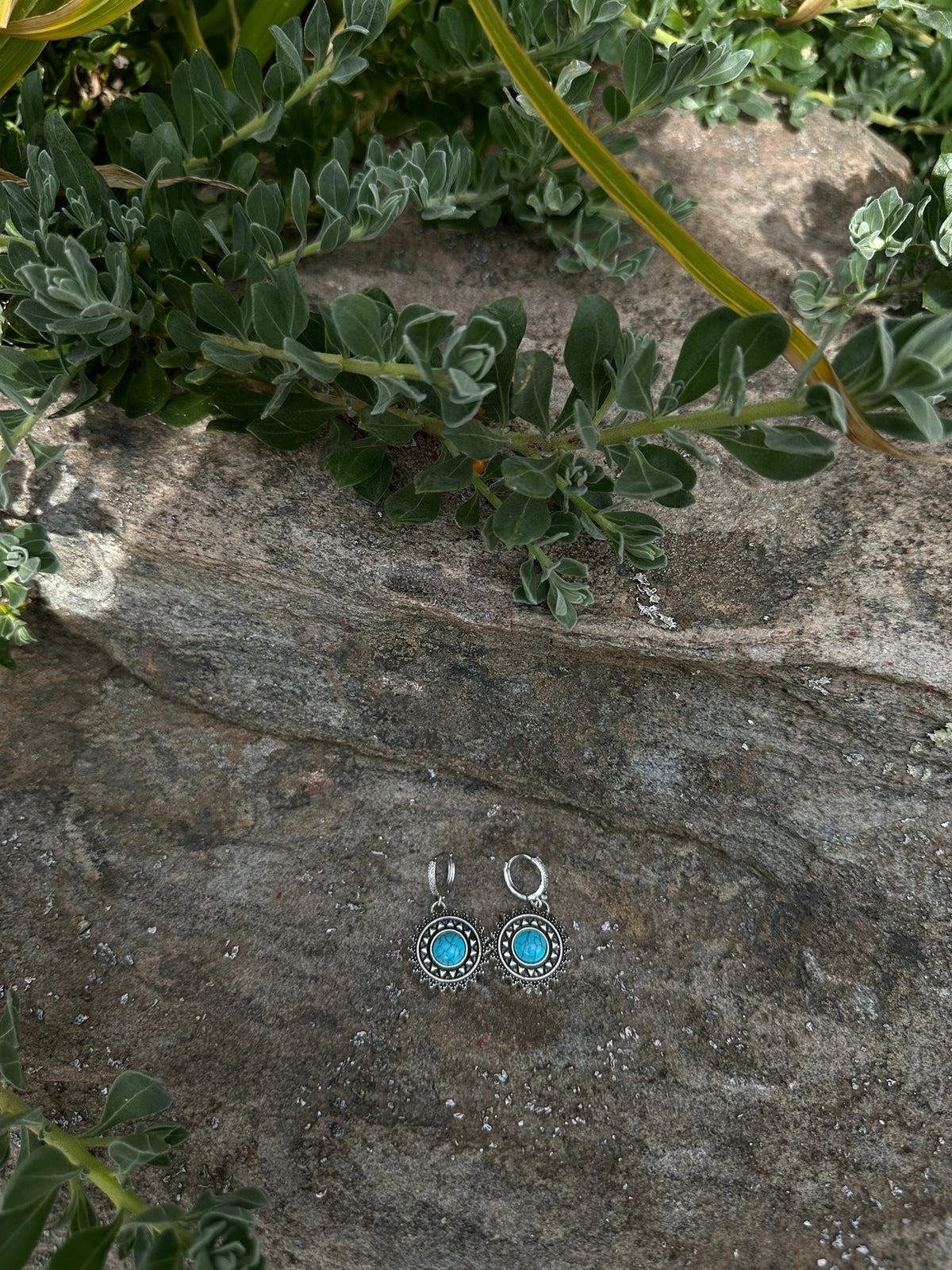 Dakota | Earrings